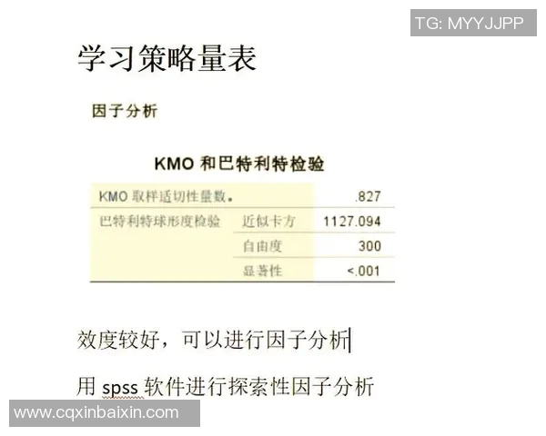 RNG在大师赛中的团队协作分析与表现评估